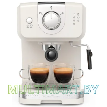 Рожковая помповая кофеварка Moulinex Soleil XP330A10